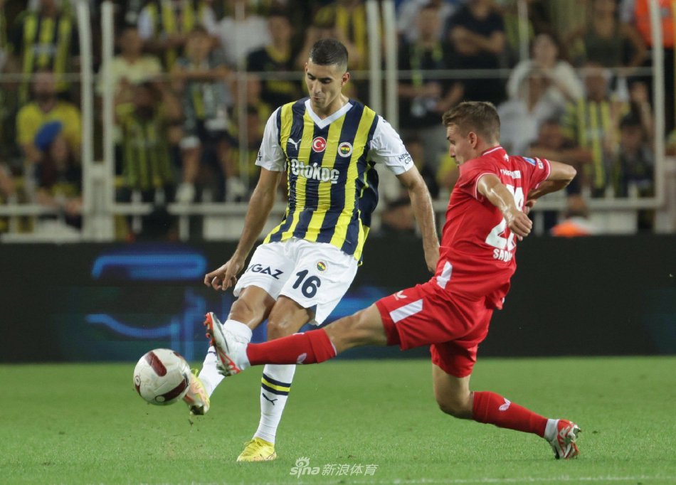 如何在团结 如何在团结